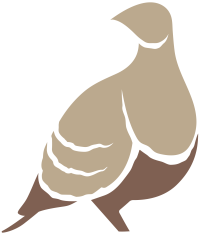 جوني